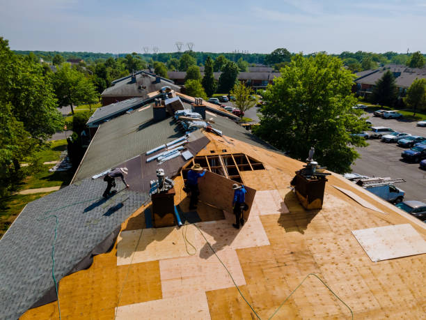 Best Flat Roof Repair Services  in Byrdstown, TN