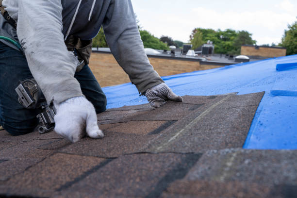 Best Sealant for Roof  in Byrdstown, TN