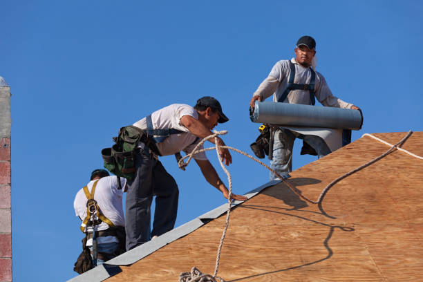 Best Roof Repair Specialists  in Byrdstown, TN