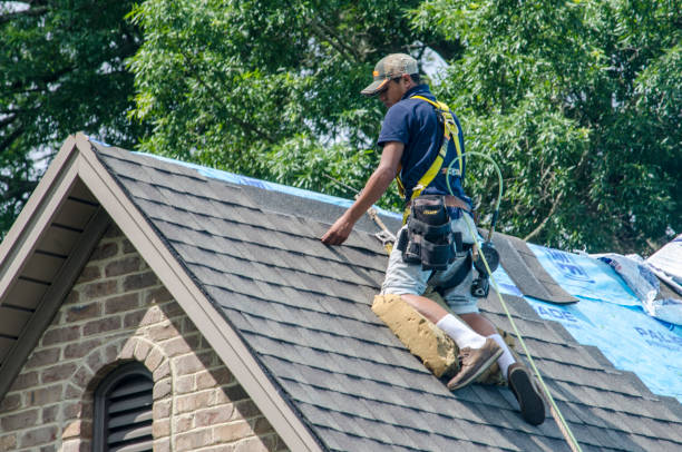 Best Roof Maintenance Services  in Byrdstown, TN